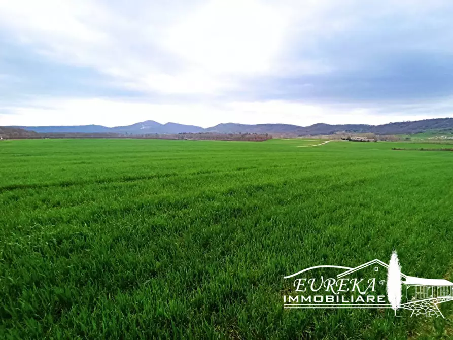 Immagine 11 di Terreno in vendita  in località Le Mura a Panicale