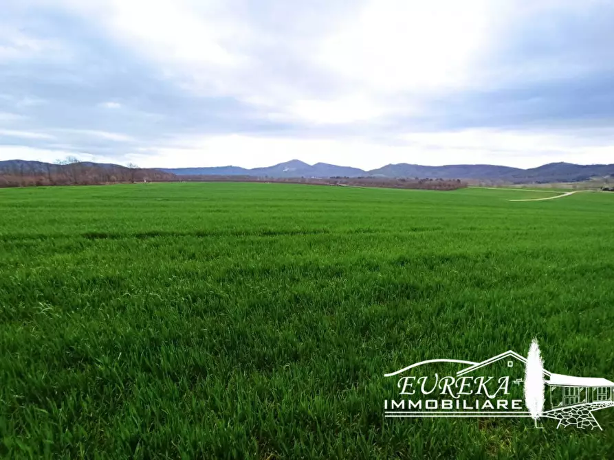 Immagine 12 di Terreno in vendita  in località Le Mura a Panicale