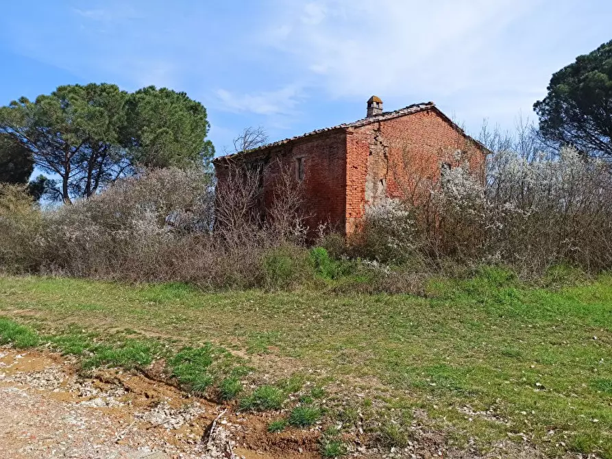 Immagine 1 di Terreno in vendita  in frazione Piana a Castiglione Del Lago