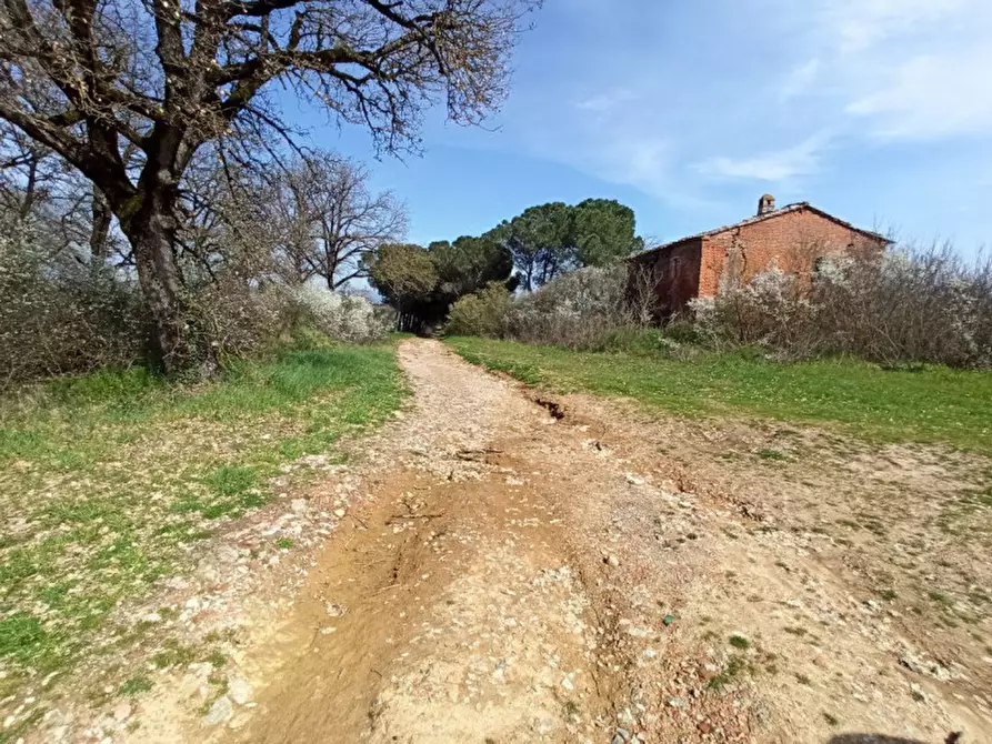 Immagine 3 di Terreno in vendita  in frazione Piana a Castiglione Del Lago