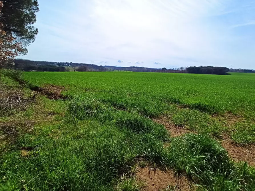 Immagine 6 di Terreno in vendita  in frazione Piana a Castiglione Del Lago