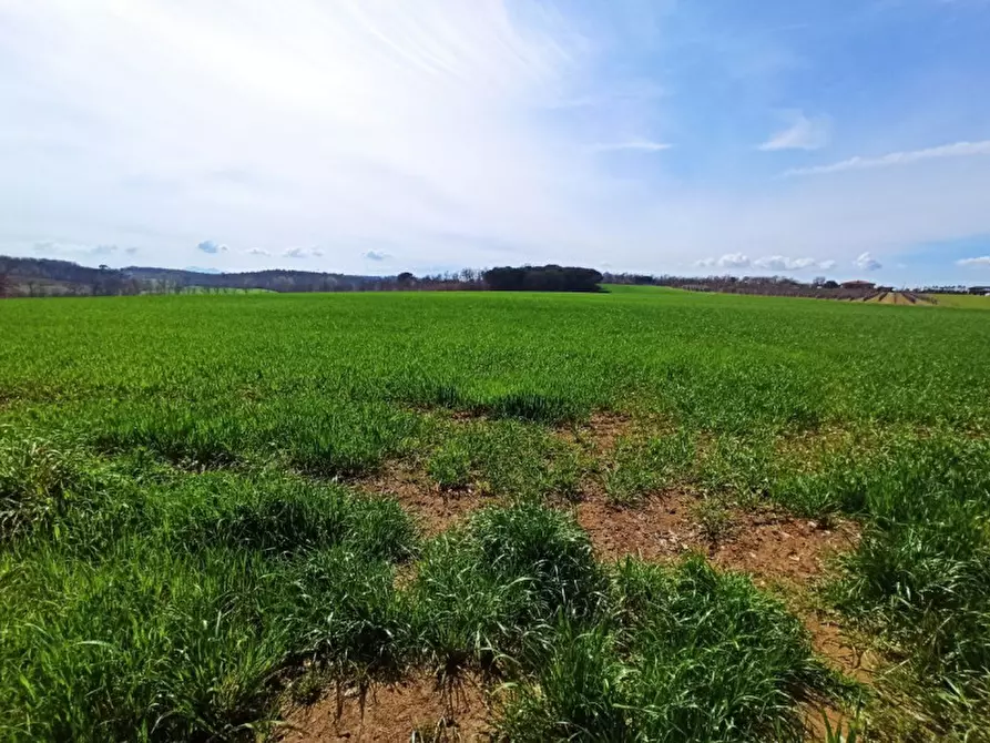 Immagine 7 di Terreno in vendita  in frazione Piana a Castiglione Del Lago