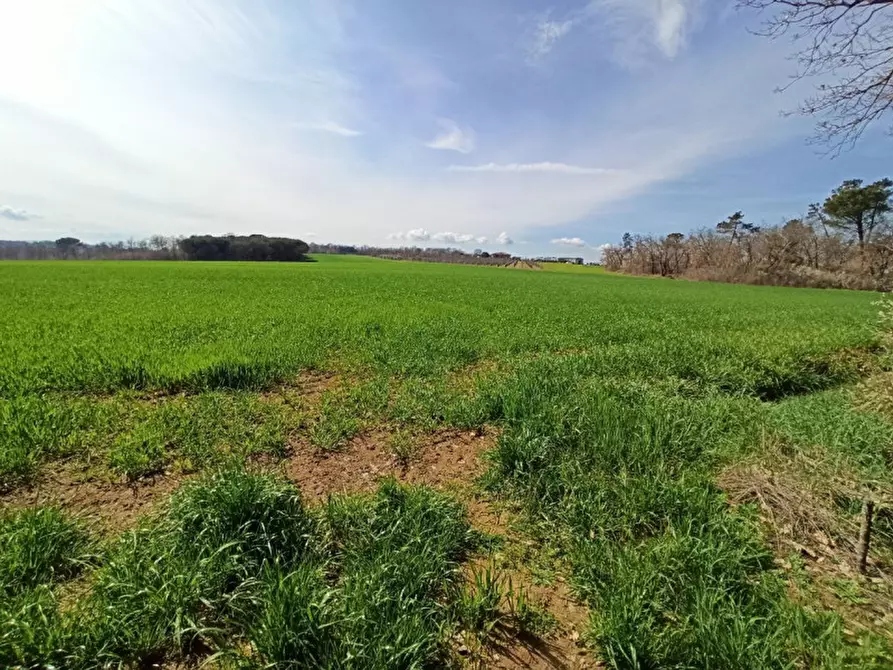 Immagine 8 di Terreno in vendita  in frazione Piana a Castiglione Del Lago
