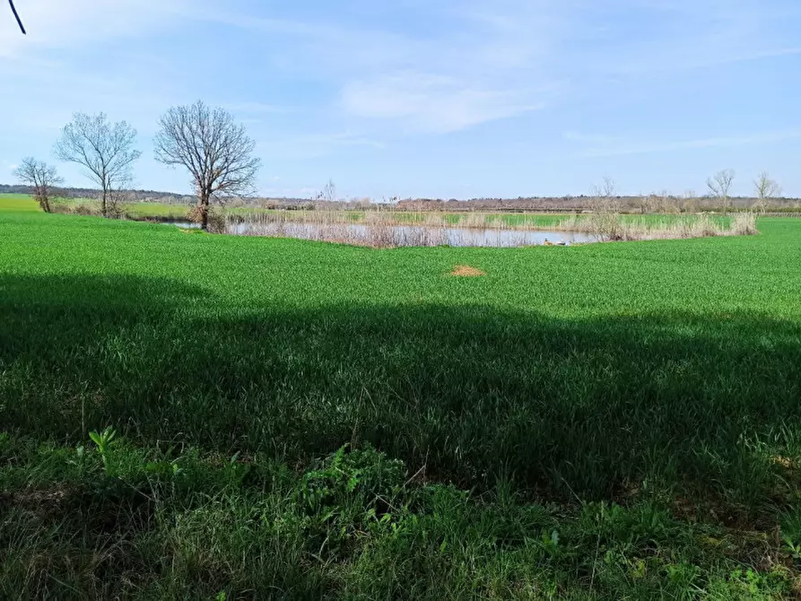 Immagine 9 di Terreno in vendita  in frazione Piana a Castiglione Del Lago