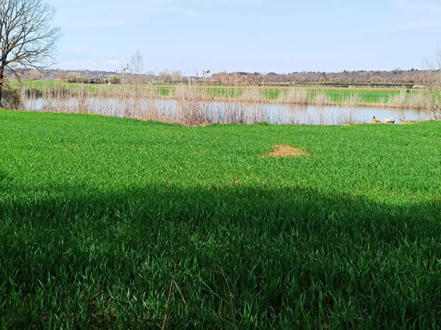 Immagine 10 di Terreno in vendita  in frazione Piana a Castiglione Del Lago