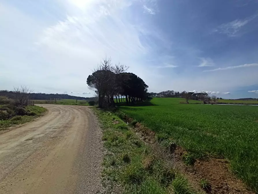 Immagine 11 di Terreno in vendita  in frazione Piana a Castiglione Del Lago