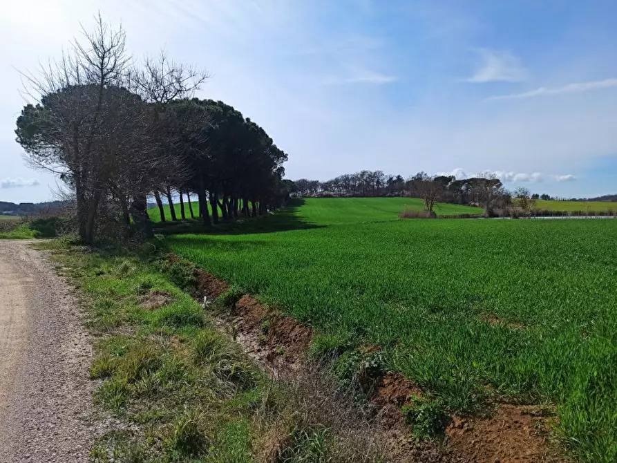 Immagine 12 di Terreno in vendita  in frazione Piana a Castiglione Del Lago