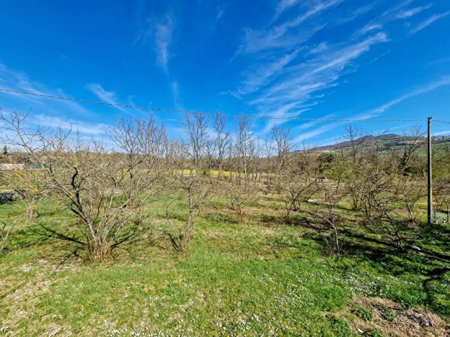 Immagine 14 di Casa indipendente in vendita  in via Bellaria a Acqualagna