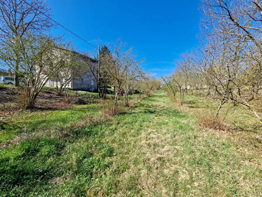 Immagine 16 di Casa indipendente in vendita  in via Bellaria a Acqualagna