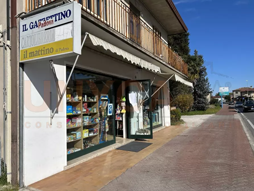 Immagine 1 di Attività commerciale in vendita  in Via Roma a Saccolongo