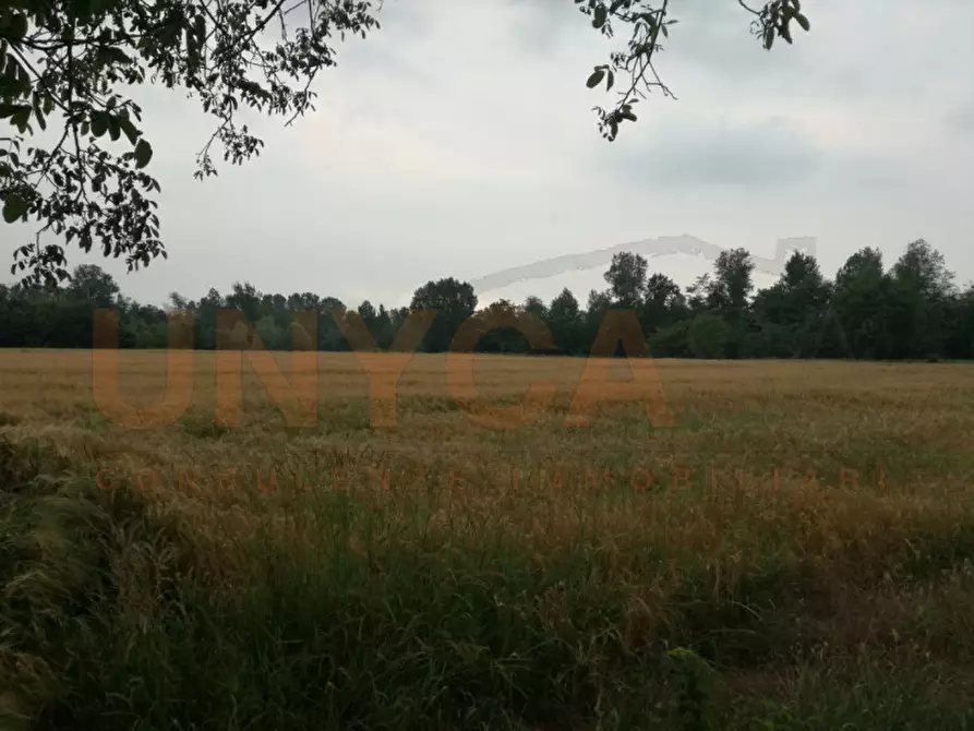 Immagine 2 di Terreno in vendita  in Via Borgo Santa Maria a Veggiano