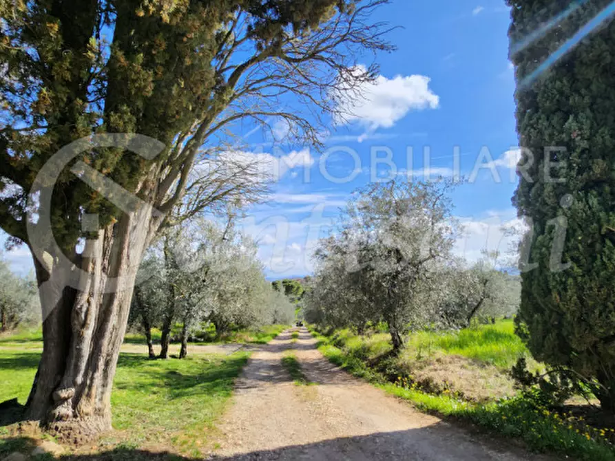 Immagine 21 di Appartamento in affitto  in via grevigiana a San Casciano In Val Di Pesa