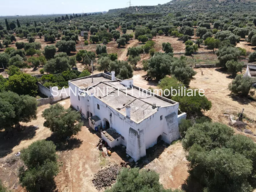 Immagine 10 di Rustico / casale in vendita  a Ostuni