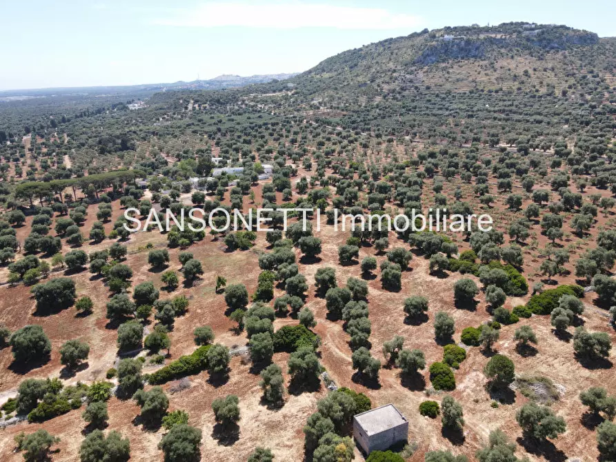 Immagine 14 di Rustico / casale in vendita  a Ostuni