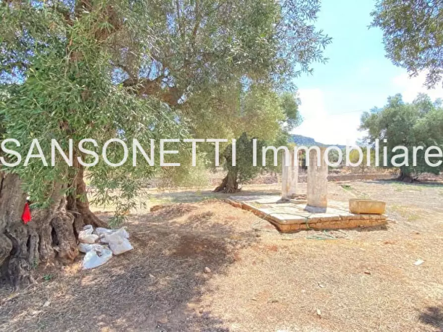 Immagine 43 di Rustico / casale in vendita  a Ostuni