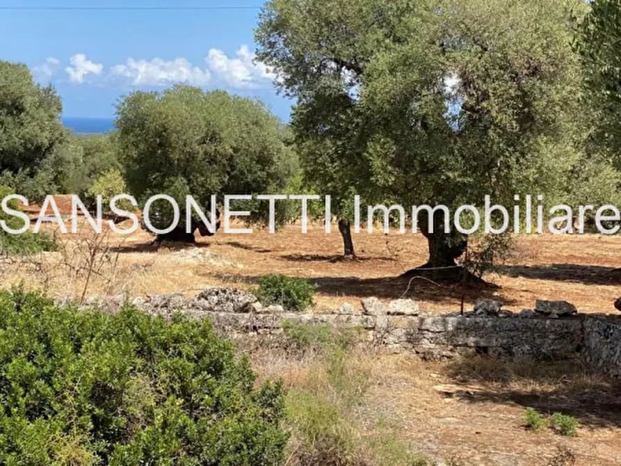 Immagine 53 di Rustico / casale in vendita  a Ostuni