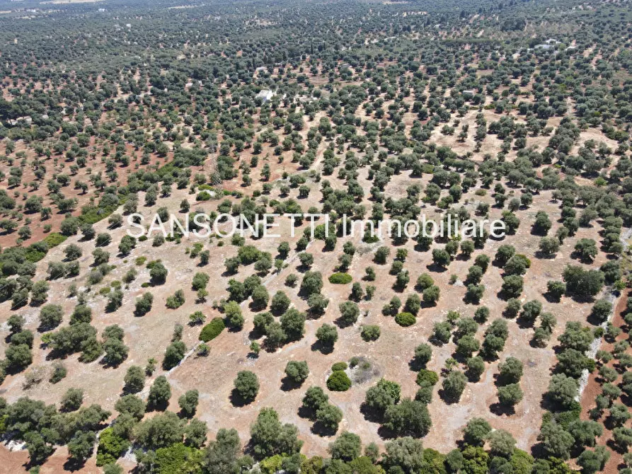Immagine 54 di Rustico / casale in vendita  a Ostuni