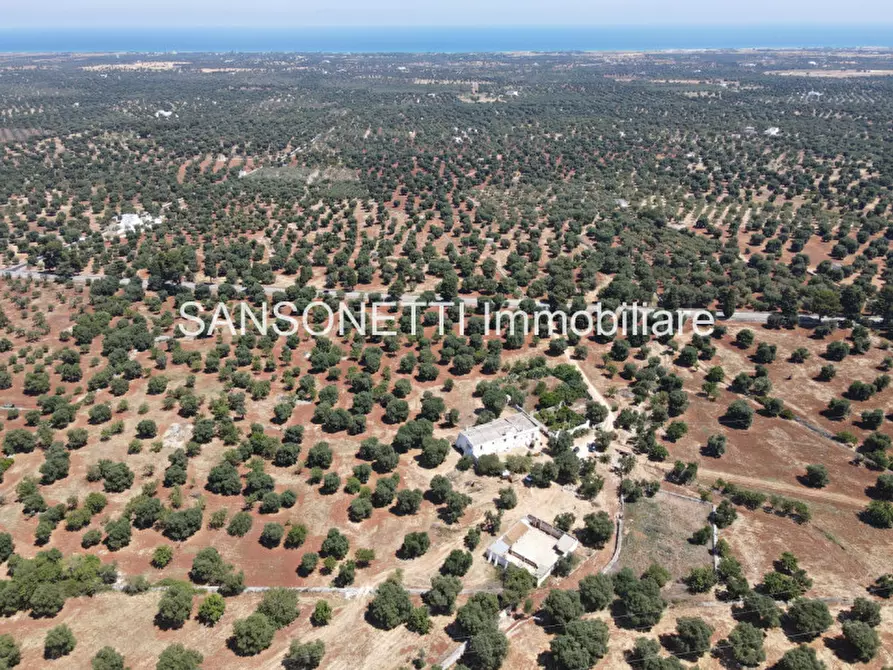 Immagine 55 di Rustico / casale in vendita  a Ostuni