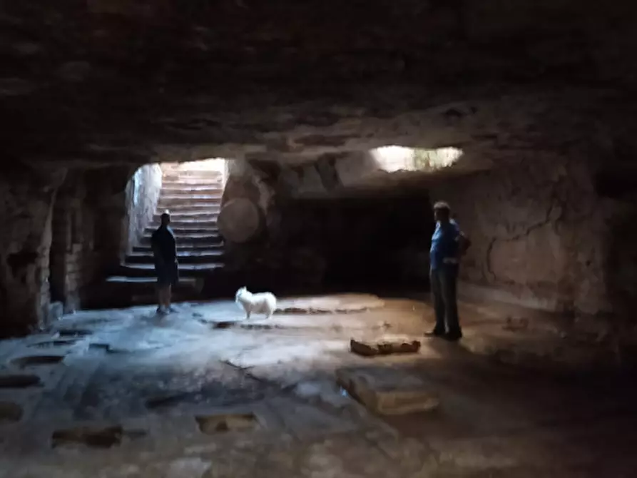 Immagine 71 di Rustico / casale in vendita  a Ostuni