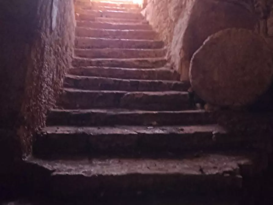 Immagine 73 di Rustico / casale in vendita  a Ostuni