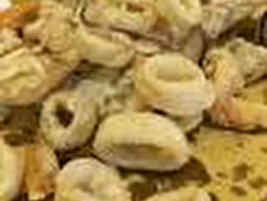 Immagine 3 di Attività commerciale in vendita  in via chiesanuova a Padova