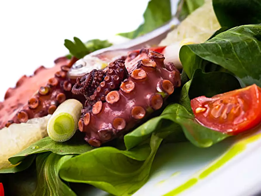 Immagine 8 di Attività commerciale in vendita  in via chiesanuova a Padova