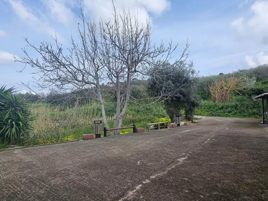 Immagine 16 di Casa indipendente in vendita  in contrada filippone a San Pier Niceto