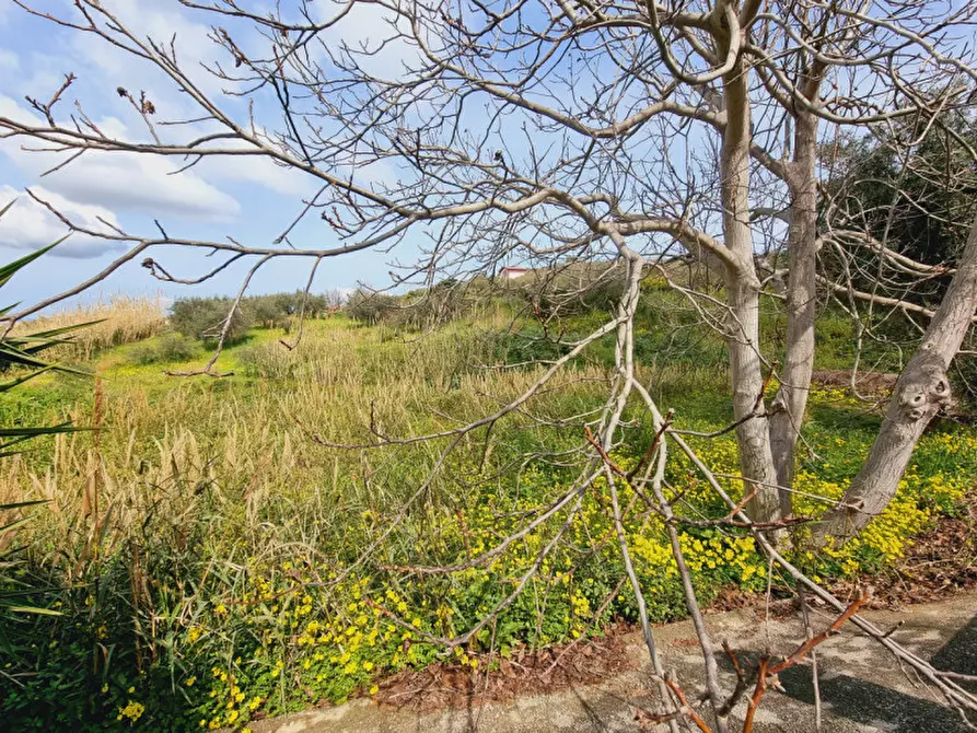 Immagine 17 di Casa indipendente in vendita  in contrada filippone a San Pier Niceto