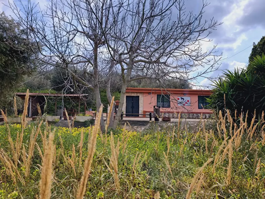 Immagine 19 di Casa indipendente in vendita  in contrada filippone a San Pier Niceto