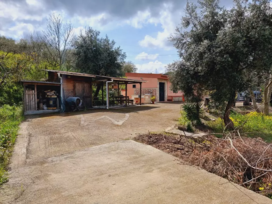 Immagine 20 di Casa indipendente in vendita  in contrada filippone a San Pier Niceto