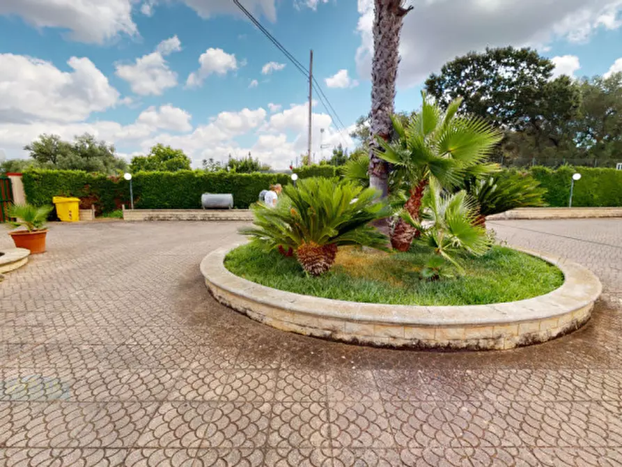 Immagine 36 di Villa in vendita  in Contrada San Giovanni a Ceglie Messapico