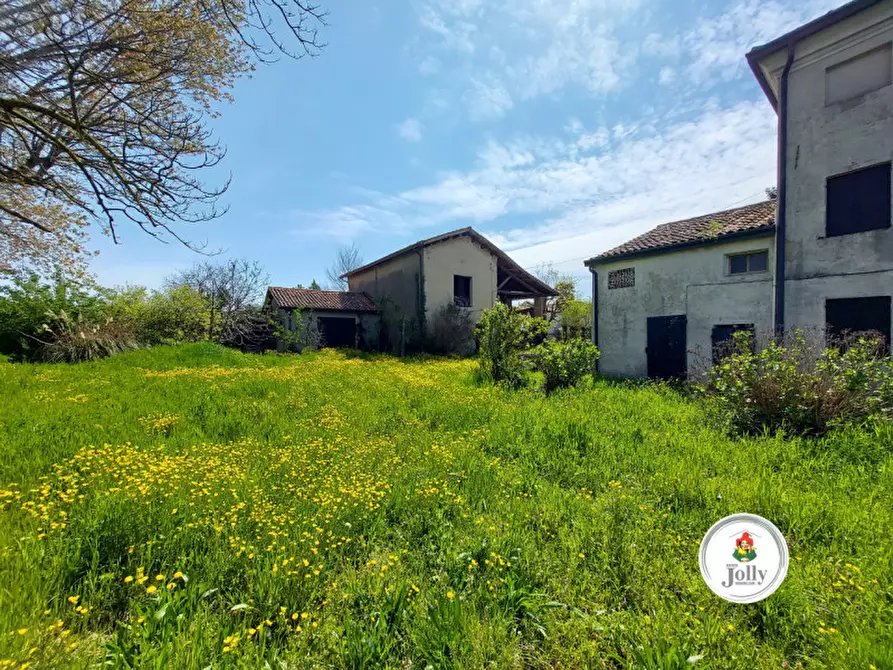 Immagine 2 di Villa in vendita  in VIa Roma a Arzergrande