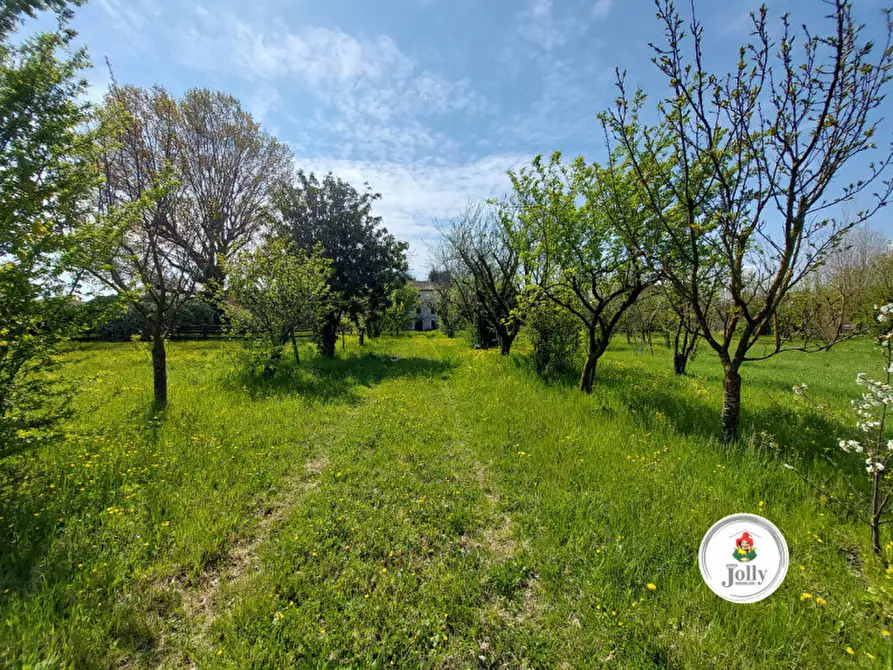 Immagine 4 di Villa in vendita  in VIa Roma a Arzergrande