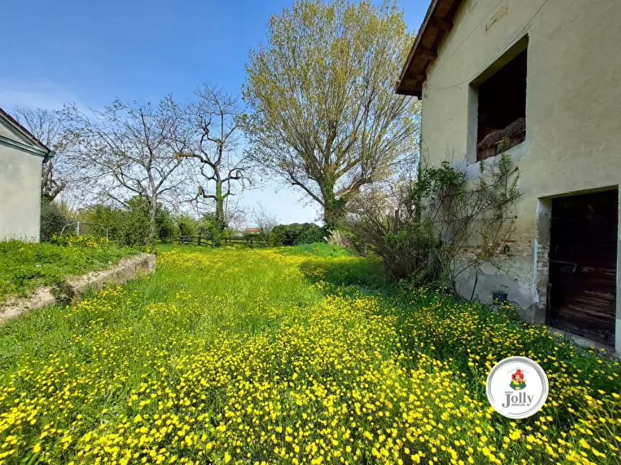 Immagine 7 di Villa in vendita  in VIa Roma a Arzergrande