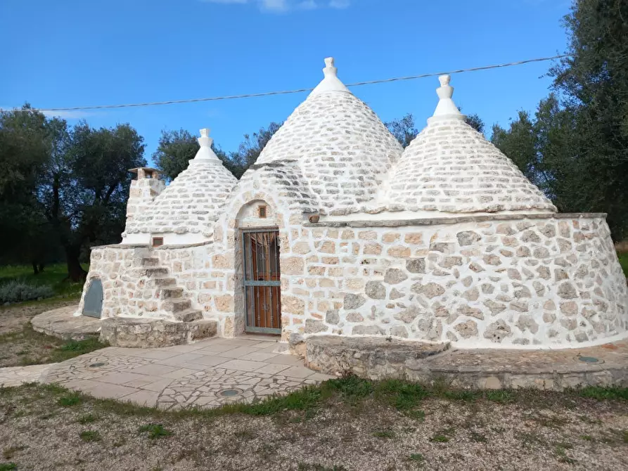 Immagine 1 di Rustico / casale in vendita  in C.da Correo a Carovigno