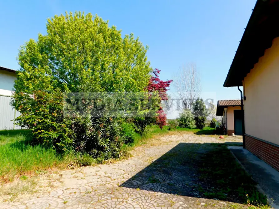 Immagine 24 di Casa indipendente in vendita  in via Vittorio Veneto n° 6 a Gropello Cairoli