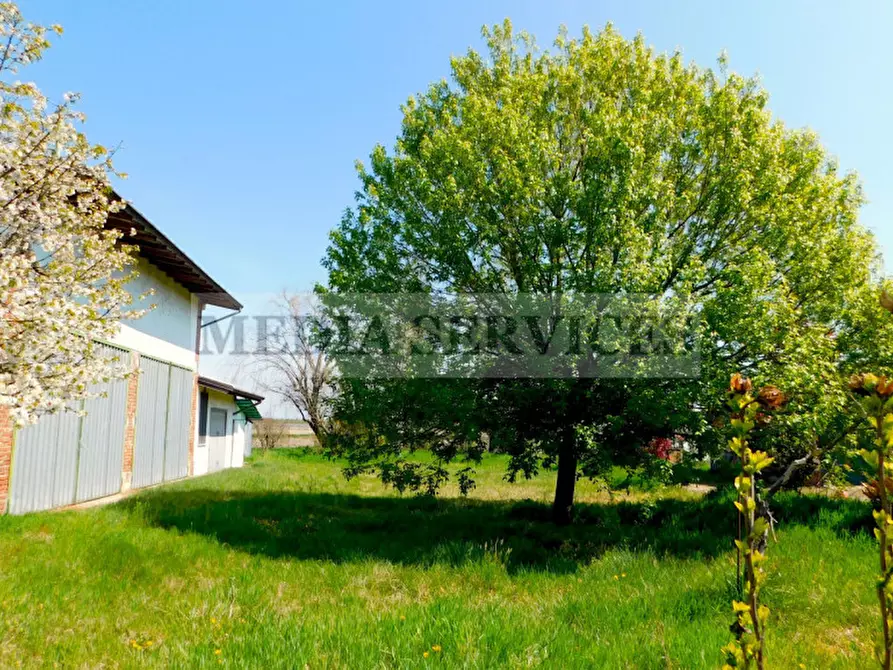 Immagine 25 di Casa indipendente in vendita  in via Vittorio Veneto n° 6 a Gropello Cairoli