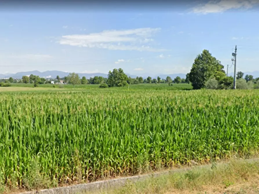 Immagine 3 di Terreno in vendita  in viale europa a Montichiari