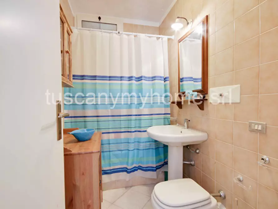 Immagine 19 di Appartamento in vendita  a Castiglione Della Pescaia