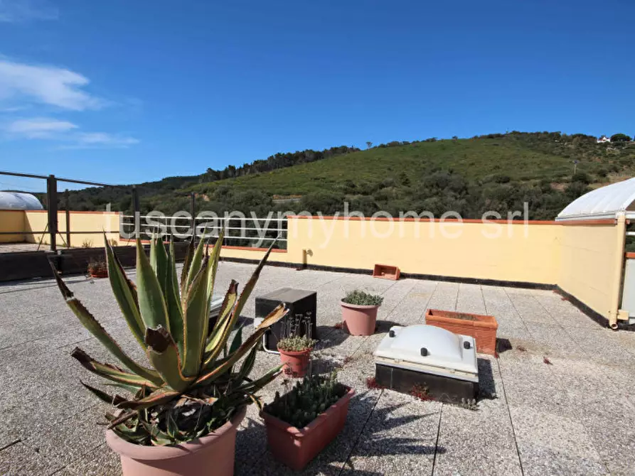 Immagine 29 di Appartamento in vendita  a Castiglione Della Pescaia