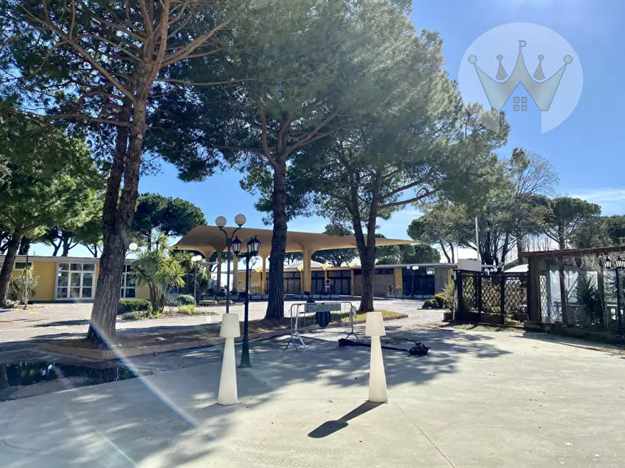 Immagine 16 di Attività commerciale in vendita  in viale dante alighieri 123 a Grado