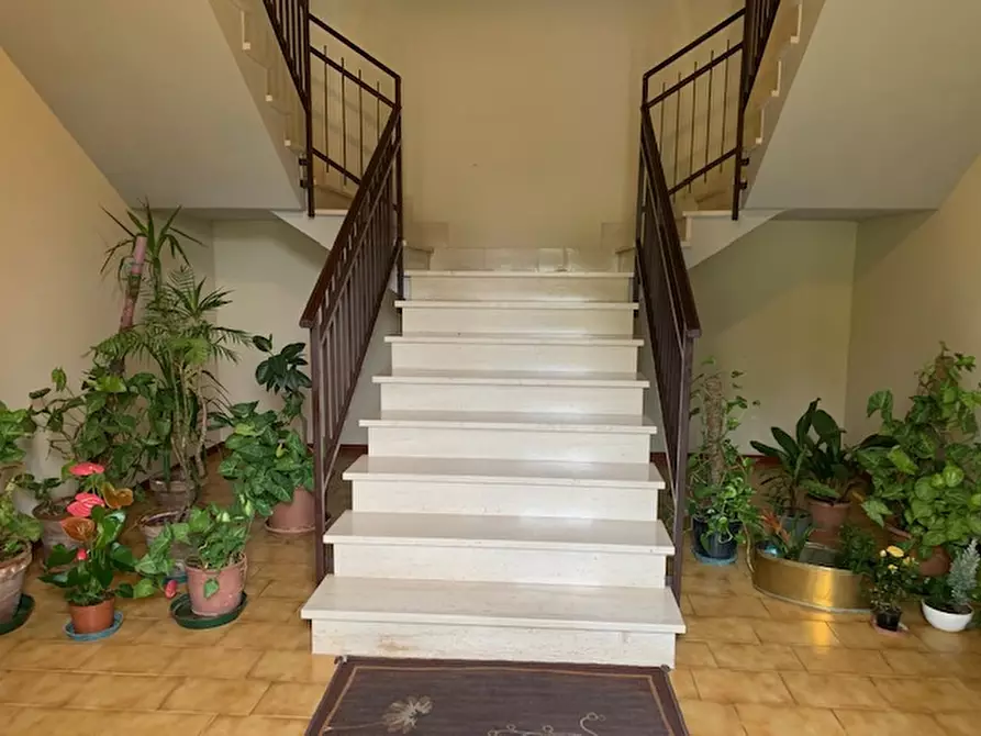 Immagine 11 di Appartamento in vendita  a Ficarolo