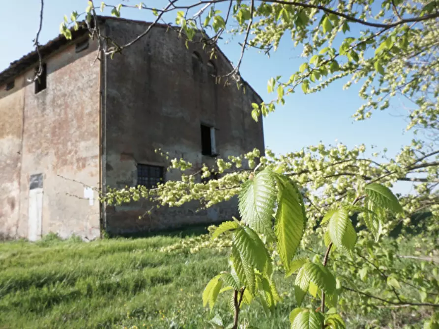 Immagine 4 di Rustico / casale in vendita  in via Don Giovanni Bosco a Sorbolo Mezzani