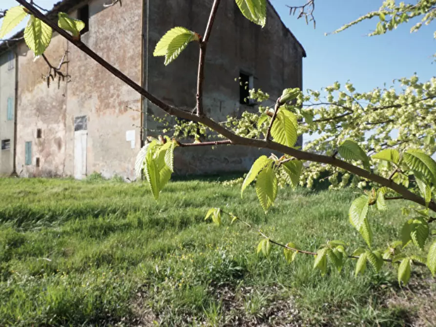 Immagine 10 di Rustico / casale in vendita  in via Don Giovanni Bosco a Sorbolo Mezzani