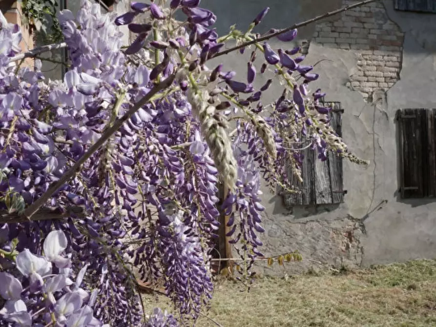 Immagine 12 di Casa trifamiliare in vendita  in Via Giacomo Matteotti, 18 a Sorbolo Mezzani