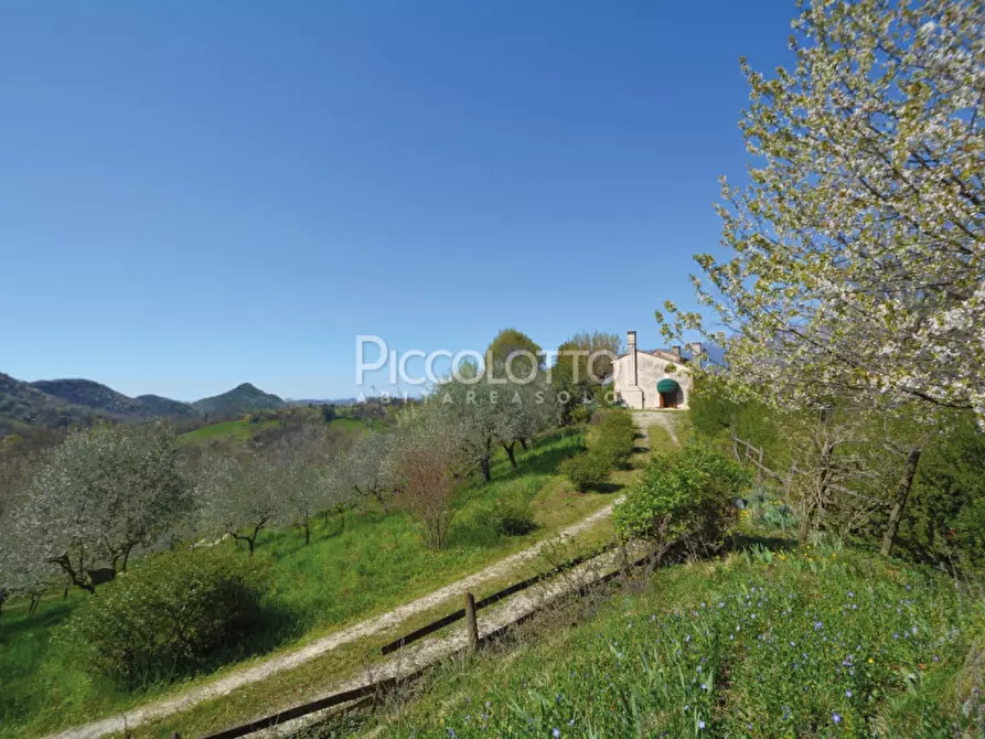 Immagine 22 di Casa indipendente in vendita  in via Chiesa Monfumo a Monfumo