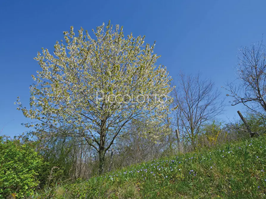 Immagine 23 di Casa indipendente in vendita  in via Chiesa Monfumo a Monfumo