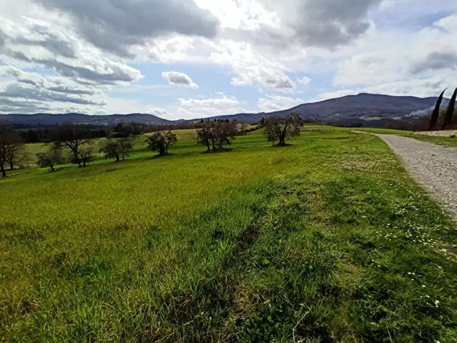 Immagine 15 di Appartamento in vendita  in Ponticelli a Città Della Pieve