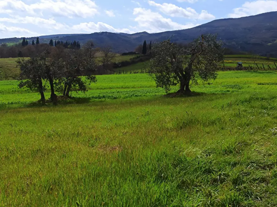 Immagine 16 di Appartamento in vendita  in Ponticelli a Città Della Pieve