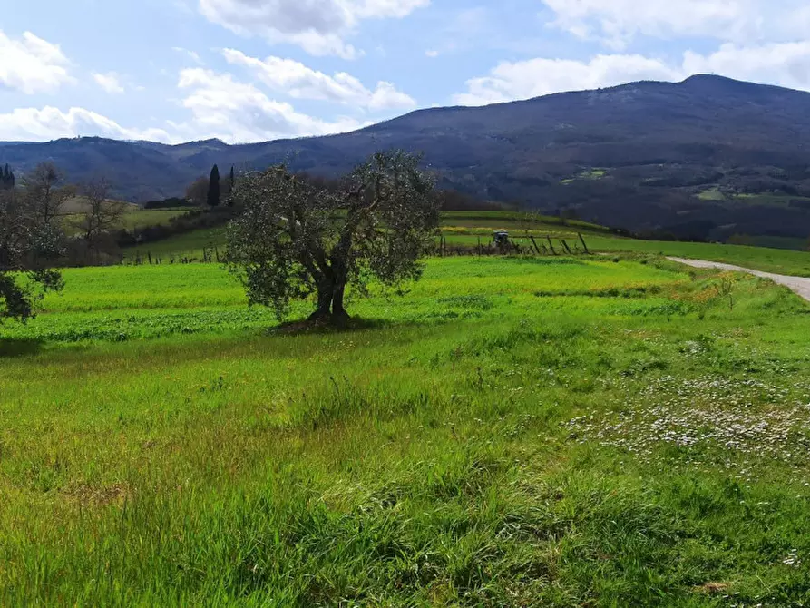 Immagine 17 di Appartamento in vendita  in Ponticelli a Città Della Pieve